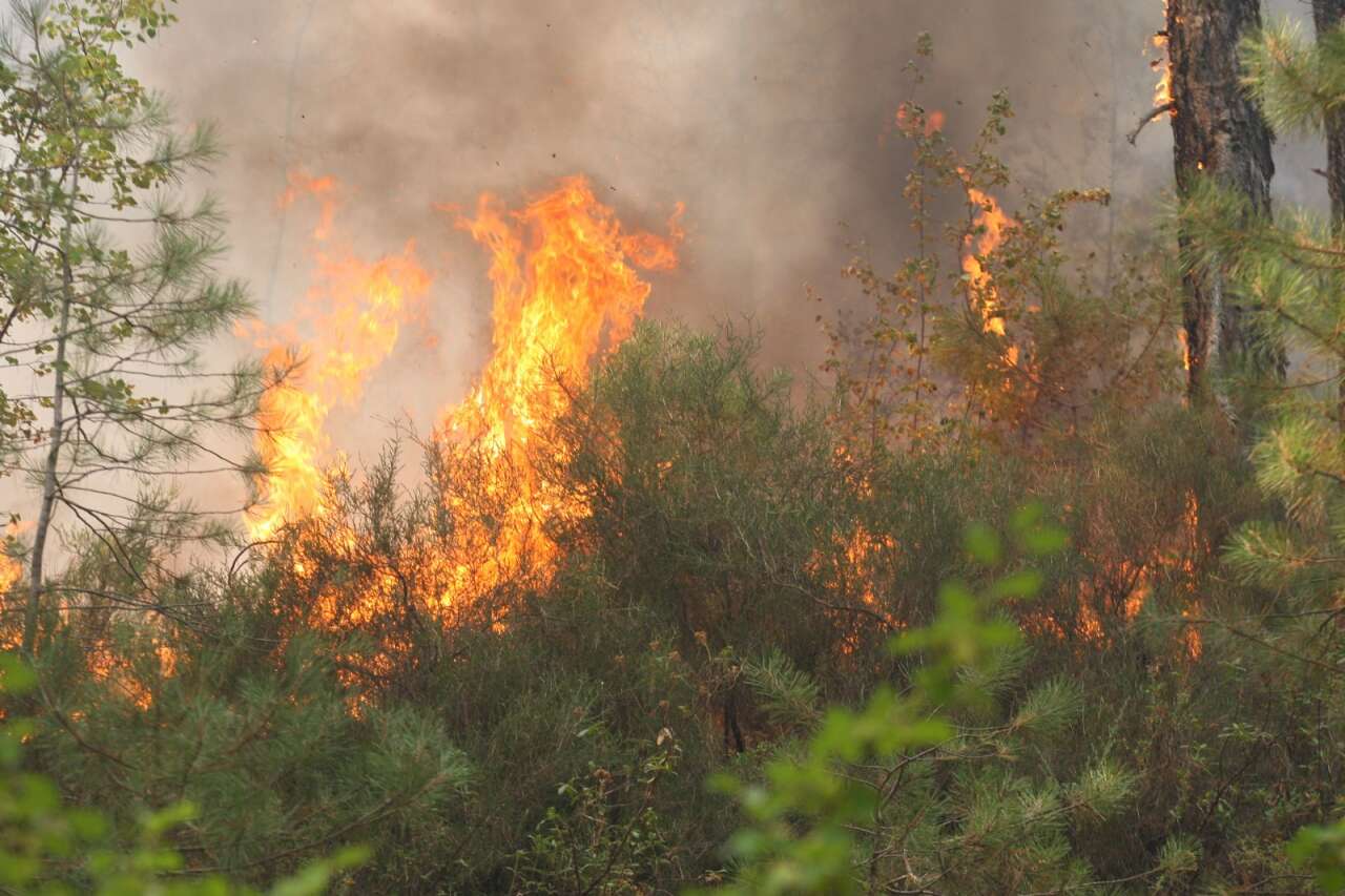 Muğla ve Aydın’da 2025’te 429 Yangın! 3 Bin 800 Dönüm Alan Kül Oldu 1
